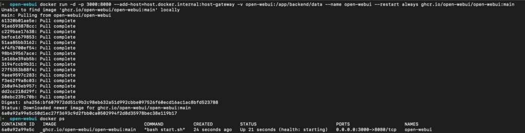 Docker install Open WebUI